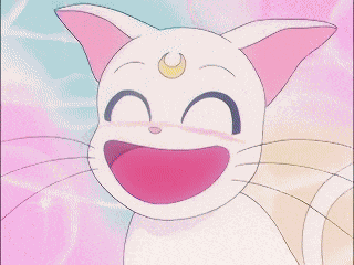 Artemis Sailor Moon GIF