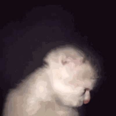 Asd GIF