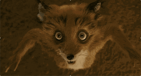 Ash Ashton Fox GIF