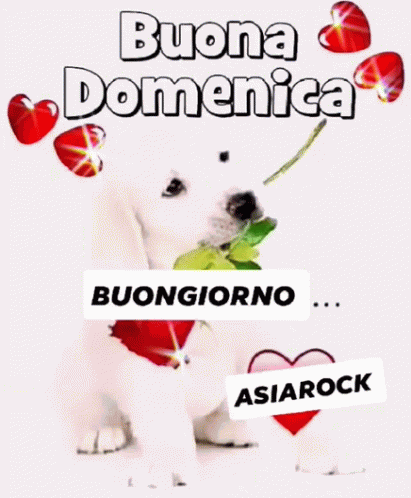 Asiarock Buongiorno GIF