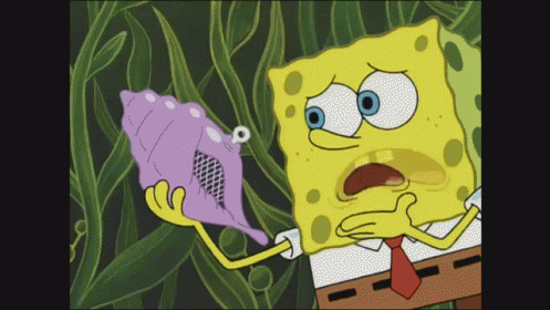 Ask The Magic Conch GIF