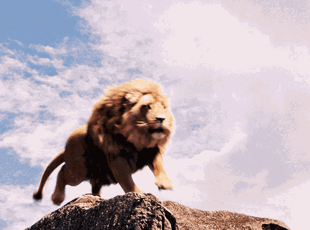 Aslan Roar GIF