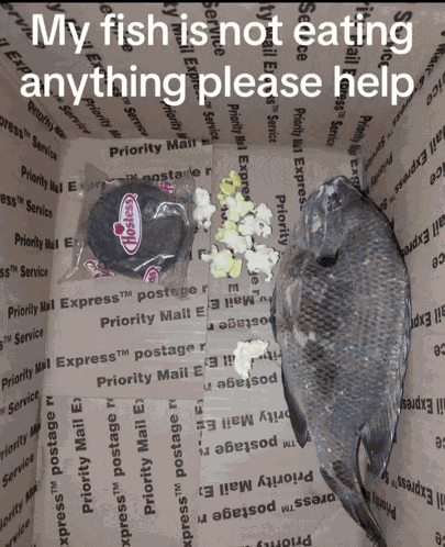 Assalomu Alaykum Meme