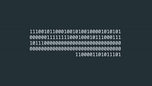 Assembly Coding GIF