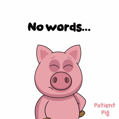 At A Loss For Words Dumbfounded GIF