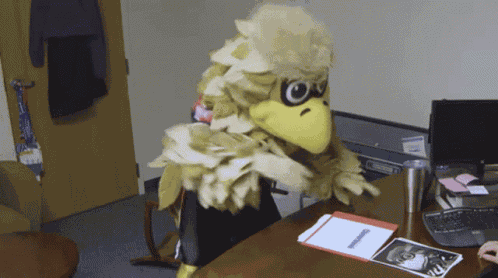 Atlanta Falcons Freddie Falcon GIF