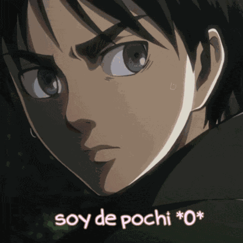 Attack On Titan Aot GIF