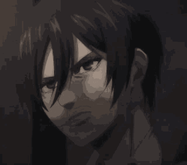 Attack On Titan Mikasa Ackerman GIF