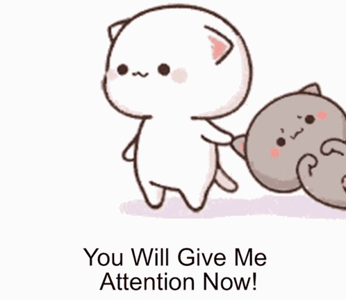 Attention Give Me Attention GIF