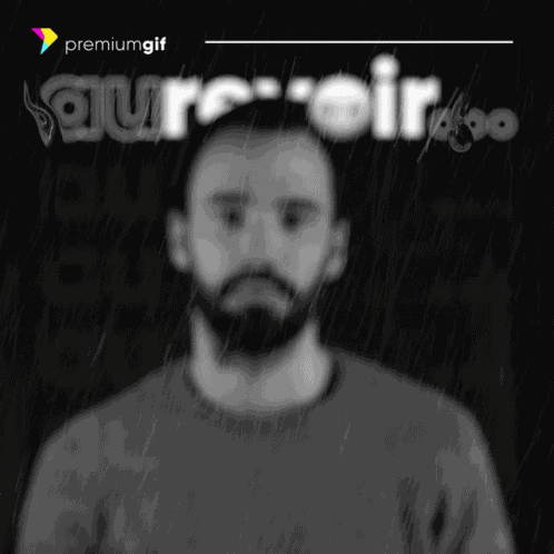 Au Revoir Bye GIF