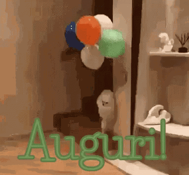 Auguri Augurissimi Tanti Auguri Congratulazioni Bravissimo Bravissima Buon Compleanno Onomastico GIF