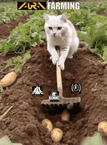 Aura Farming Ashes Of Creation GIF