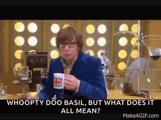 Austin Powers Comedy GIF
