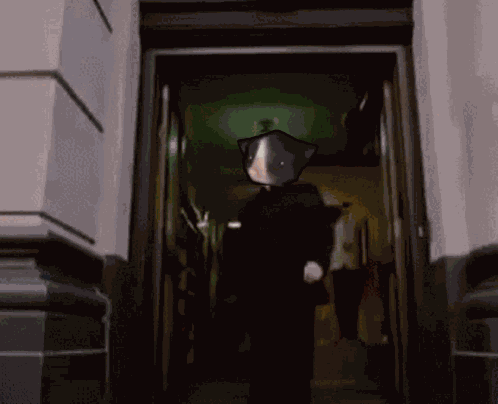 Autista Cat Meme Spinning Cat GIF