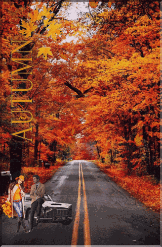 Autumn GIF