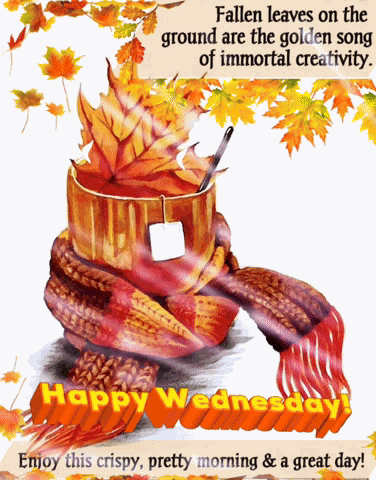 Autumn Happy Wednesday GIF