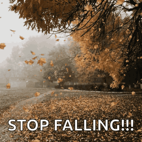 Autumn Leaves Falling GIF