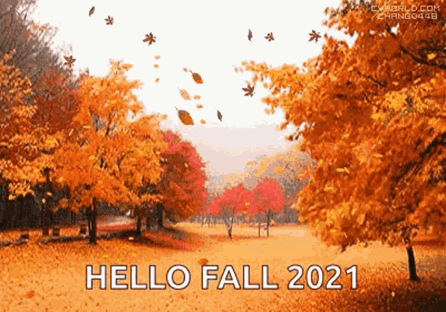 Autumn Leaves GIF