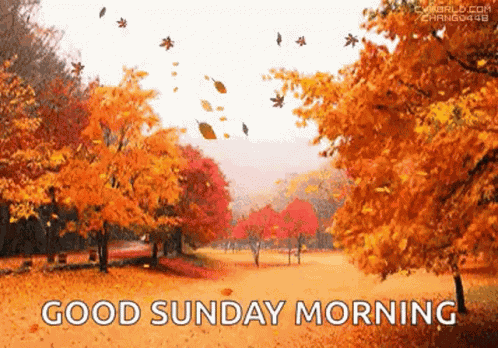 Autumn Leaves GIF