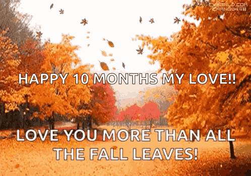 Autumn Leaves GIF