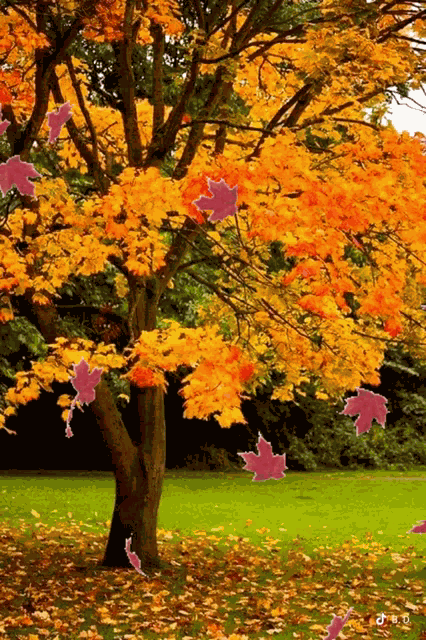 Autumn GIF