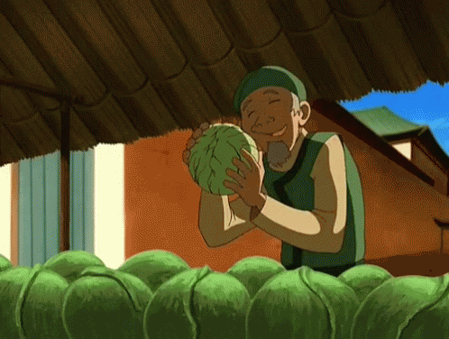 Avatar The Last Airbender Love GIF