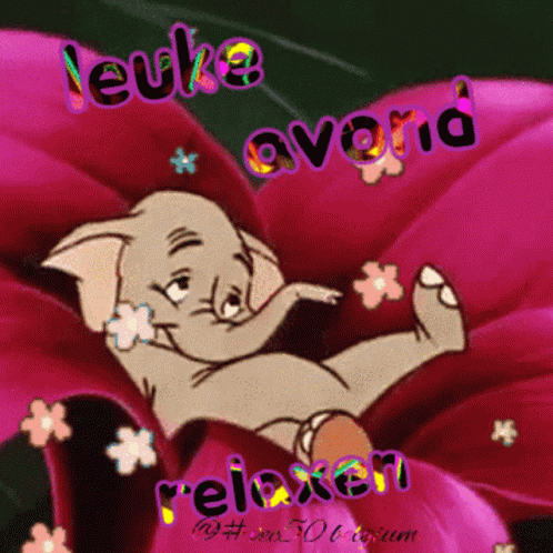 Avond Vec50 GIF