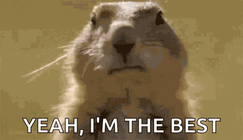 Awesome Im GIF