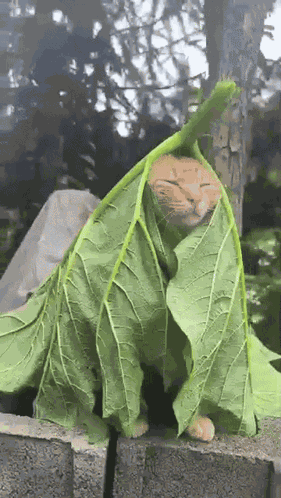 Awesome Zen GIF