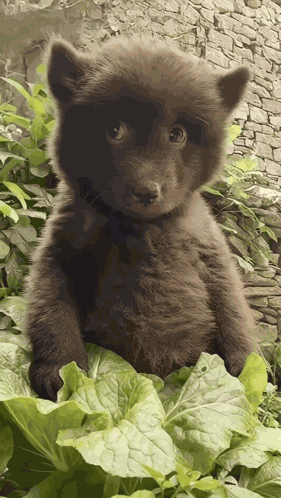 Awkward Awkward Meme GIF