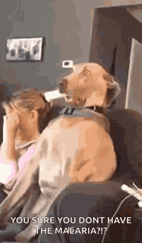 Awkward In Trouble GIF