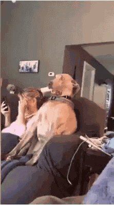 Awkward Shocked GIF