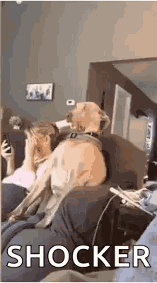 Awkward Shocked GIF
