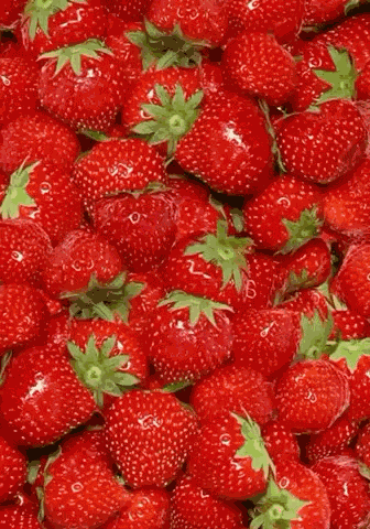 Awsten Strawberry GIF