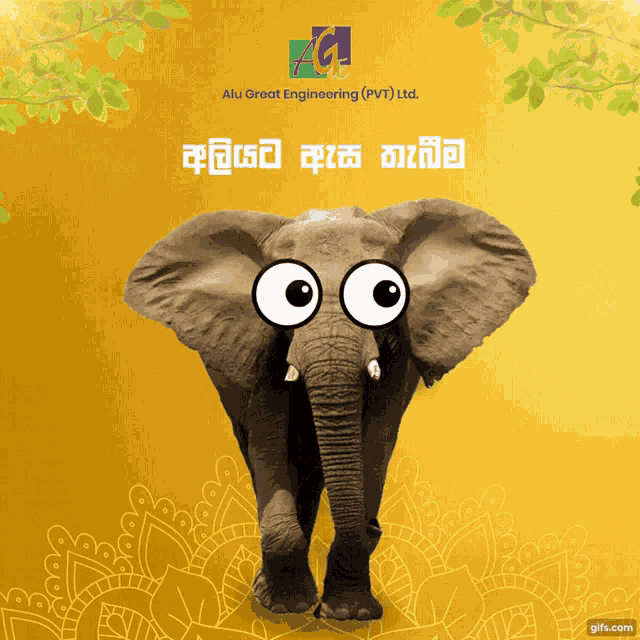 Awurudu Avurudu GIF