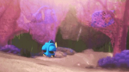 Aww Baby Dory GIF