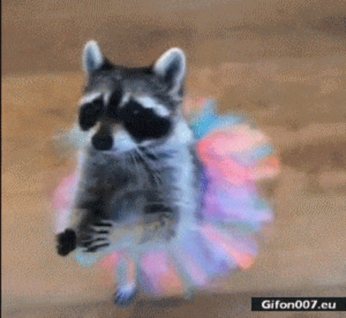 Aww Cute GIF