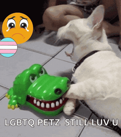 Aww So Cute Aww Cute GIF