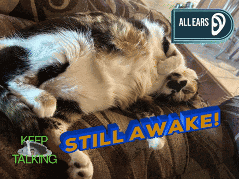 Aww So Cute Aww Thanks GIF