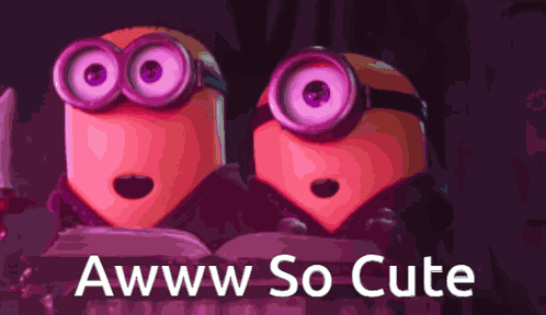 Aww So Cute Cutie GIF
