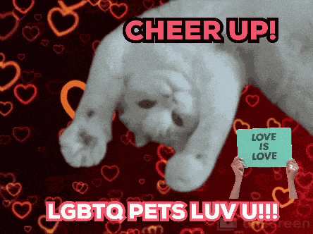 Aww Yeah Aww Cute GIF