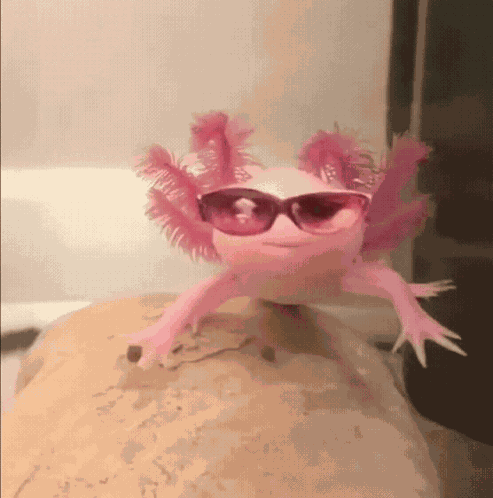 Axoloti Ez GIF