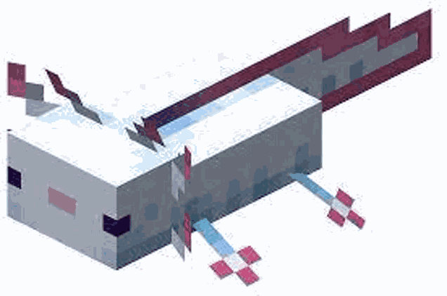 Axolotl Axolotl Duo Meme