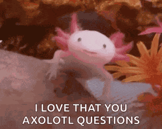 Axolotl Smile GIF