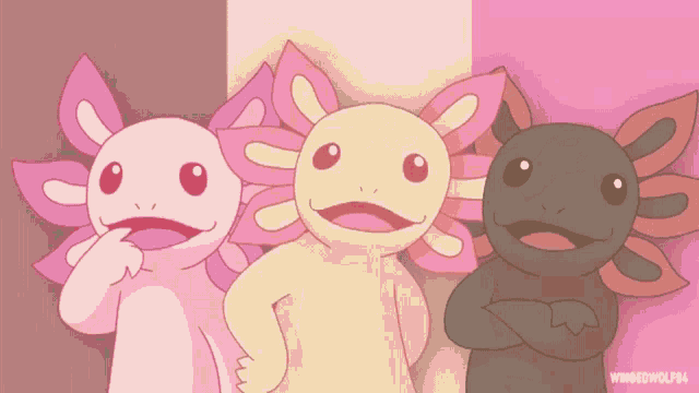 Axolotl Wingwolf94 GIF