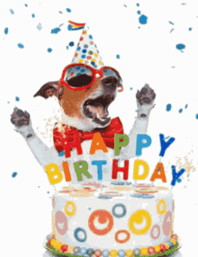 Baby Boy GIF