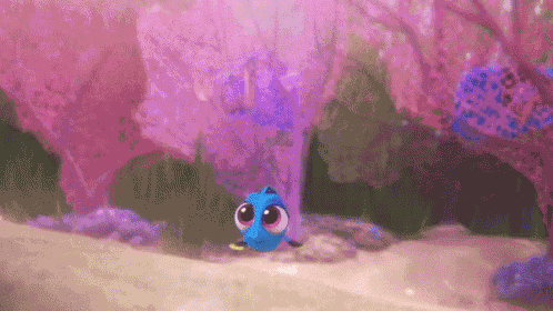 Baby Dory GIF