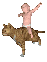 Baby-on-tiger Sticker