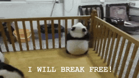 Baby Panda Will Break Free! GIF