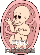 Baby Womb GIF